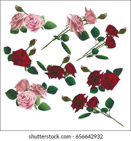 Eight small bouquets from pink and scarlet roses with buds isolated on white background. Vector illustration 