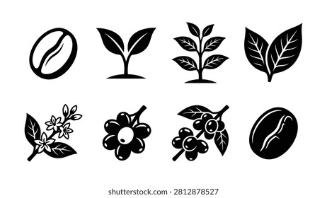 Eight stylized black icons showing coffee beans leaves and plant stages on transparent background