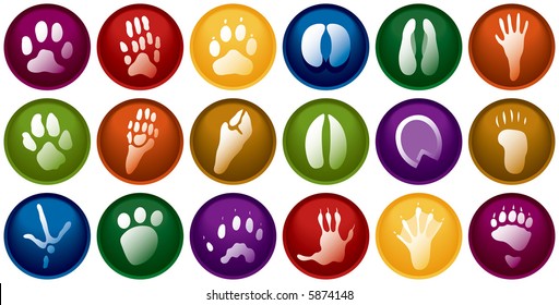 Eighteen various animal track buttons