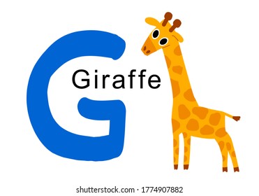 Eighth letter of English alphabet, G, for giraffe. Vector illustration, yellow with orange spots giraffe that is spelled. Digitally drawn on tablet. Large font for presentation, sticker, online print 