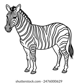 eine-zebra white background vector illustration.