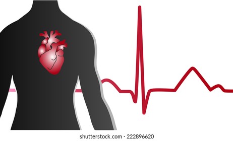 EKG heart body vector