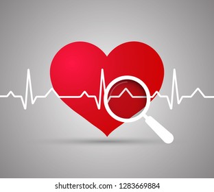 Ekg Heart. Red heart with ekg on white - medical design. Electrocardiogram, Heartbeat, magnifying glass