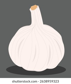ektor Fresh whole garlic vegetable and garlic cloves