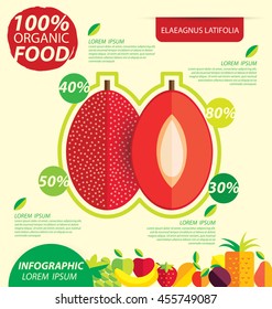 Elaeagnus latifolia. Infographic template. vector illustration.