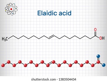Elaidic acid molecule. Structural chemical formula and molecule model. Sheet of paper in a cage. Vector illustration 