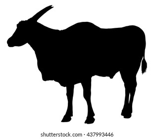 Eland antelope silhouette