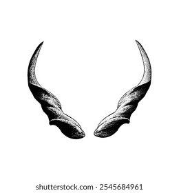 eland horns hand drawing vector isolated on white background.