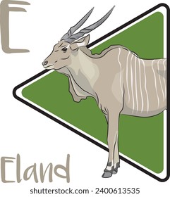 Eland is a large-sized savannah and plains antelope found in East and Southern Africa. Mainly a herbivore, its diet is primarily grasses and leaves.