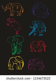 Elaphant graphic design vector art