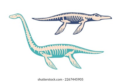 Elasmosaurus und Mosasaurus Dinosaurier Skelettknochen Fossilien. Einziger Plesiosaurier aus der späten Kreidezeit, Schildkrötenleder-Reptilien, Paläontologie-Tiere. Cartoon-Vektorgrafik