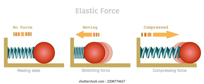 Elastic force, stretch, resting, compressed tension. Elasticity potential energy graphic. Hooke low.  metal springs, red mass moving. Explanations, wire deformation, arrows
Physics illustration vector