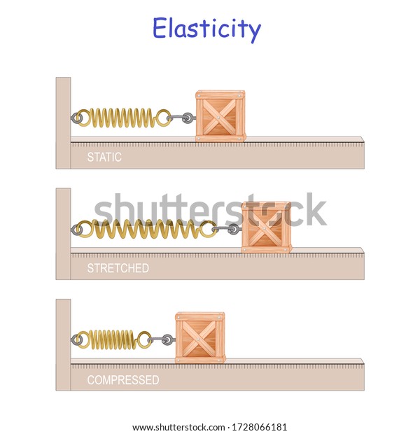 Elastic Potential Energy Elasticity Hookes Law Stock Vector (Royalty ...