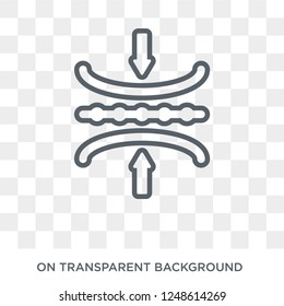 Elasticity icon. Elasticity design concept from Elasticity collection. Simple element vector illustration on transparent background.