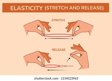 Elasticity stretch release vector diagram