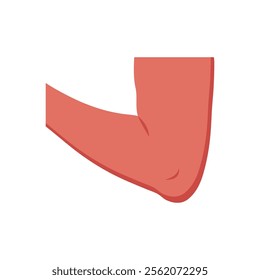 Elbow, Human Body Part Illustration