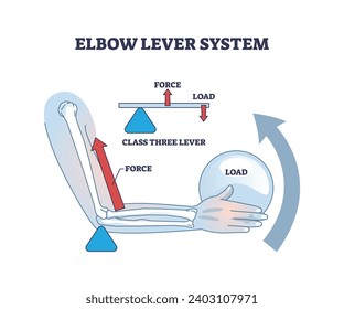 Elbow lever system and medical muscle work in weight lifting outline diagram. Labeled educational physiology scheme with force, load or class three lever vector illustration. Anatomical fitness study