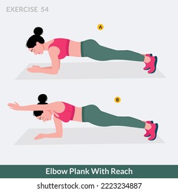 Elbow Plank With Reach exercise, Woman workout fitness, aerobic and exercises.