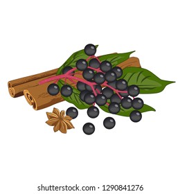 Elderberry branch with cinnamon - vector clipart. Round black Sambucus berries on a pink stalk with green leaves lie on of cinnamon sticks