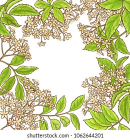 marco vectorial de la rama elderberry