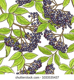elderberry branch vector pattern