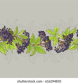 elderberry branches seamless pattern on color background