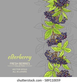 elderberry branches vector pattern on color background