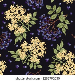 Elderberry and elderflower seamless pattern. Hand drawn sambucus flowers, leaves and berries. Vector illustration vintage.