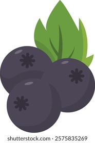 Elderberry Fruit Cartoon Ilustration Design