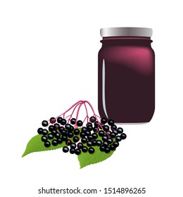 Elderberry jam in jar, can with syrup. Twig with berries, leaves. Sambucus. Black elder plant, European elder, European elderberry. Vector illustration. For food, drinks, cosmetology tea culinary