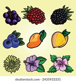 Elderberry Raspberry Blackberry Blueberry Mango Peach Dandelion Hibiscus Illustration