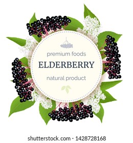 Elderberry Round Circle badge with twig, berries, leaves, flowers. Sambucus. black elder plant, European elderberry. Vector illustration. For food, medicine, cosmetology syrups drinks tea