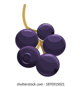Elderberry superfood icon. Cartoon of elderberry superfood vector icon for web design isolated on white background