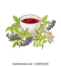 elderberry tea illustration