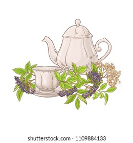 elderberry tea illustration