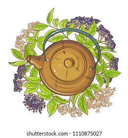 elderberry tea illustration