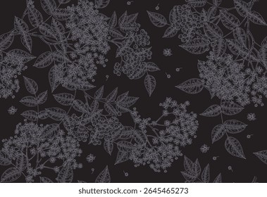 Elderflower seamless pattern. Elder flowers and berries on dark background. Vector illustration hand drawn.