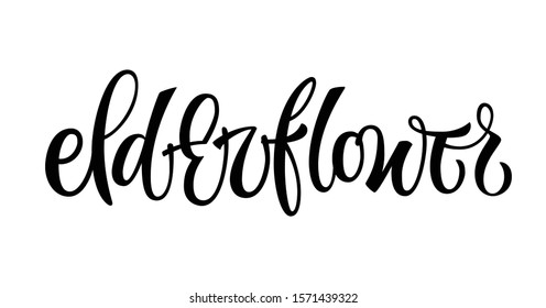 Elderflower - vector hand drawn calligraphy style lettering word. Isolated script spice text label. Labels, shop design, cafe decore etc
