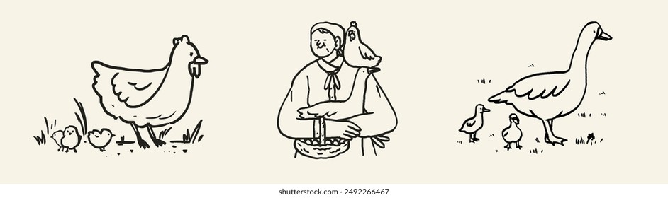 Elderly farmer feeding hen and goose concept. Granny with chicken and basket with eggs. Countryside agriculture, farmer eco products. Charcoal ink chalk crayon vector illustration. Eat local concept.