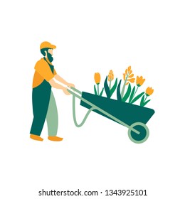 An elderly gardener man in a cart carries flowers. In the cart spring tulips and hyacinths. The farmer is engaged in planting. Work spring and summer season. Vector illustration in flat style.