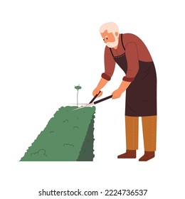 Hombre mayor cortando arbustos con tijeras grandes. Carácter masculino antiguo en paisajes de delantal cuidando plantas en el patio. El concepto de jardinería. Ilustración vectorial plana aislada en fondo blanco