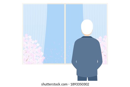 Elderly man looking at the cherry blossoms in full bloom from the window