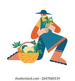 Um homem idoso colhendo verduras frescas. Ilustração vetorial de conceito caseiro.