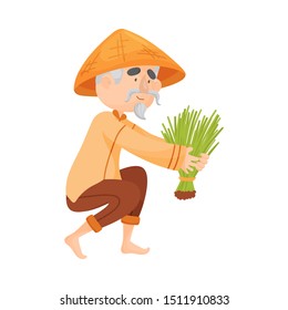 Elderly man is planting rice sprouts. Vector illustration.