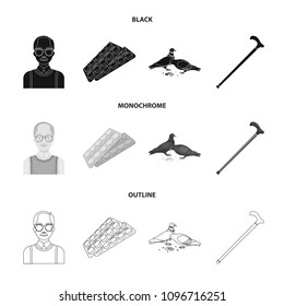 Elderly men, tablets, pigeons, walking cane.Old age set collection icons in black,monochrome,outline style vector symbol stock illustration web.