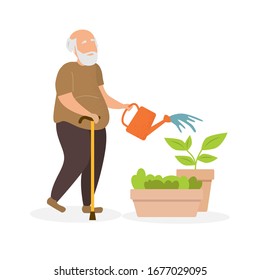 An Elderly Old Man Is Watering Flowers. Courts The Garden. Engaged In Active Activities. Prevention Of Dementia And Alzheimer's Syndrome. Retired Life.