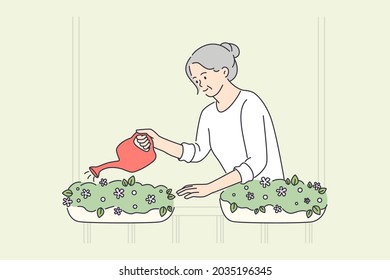 Concepto de estilo de vida feliz para los ancianos. Mujer anciana sonriente anciana abuela que está riando flores en ollas en la ilustración vectorial del balcón 