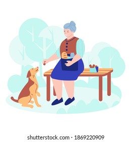 Una anciana con un perro en un banco en el parque. Le da un regalo al perro. Ilustración vectorial en estilo plano.