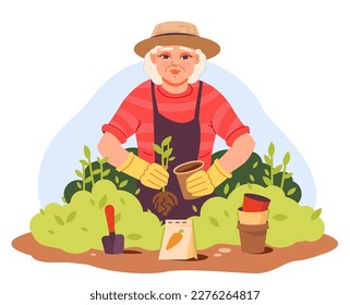 Una anciana jardinero planta plantas en un lecho de flores. Jardinería orgánica. Ilustración vectorial en un estilo plano.