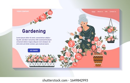 Plantas de cultivo de mujeres mayores, diseño de sitios web de aficiones a la jardinería, ilustración vectorial. Caricaturista de caricatura, jardinero viejito cultivando rosas en casa. Hobby de jubilación, hermoso jardín de flores